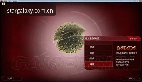 星空娱乐平台使用技巧深度评测：从新手到高手的完整攻略